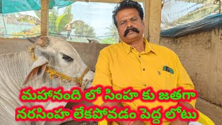 R.k.bulls అధినేత R.k.చౌదరి గారితో  Special interview with RK.bulls