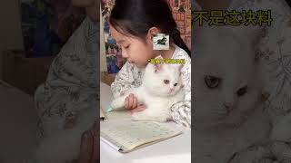 家里有孩子尽量不要养猫  …对猫不太好！ 人类幼崽迷惑行为大赏 萌娃和萌宠 猫咪