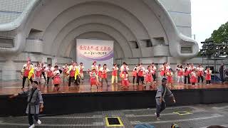 あったか高知踊り子隊IN原宿2－スーパーよさこい2022