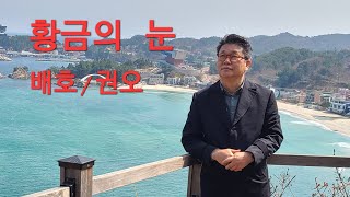 황금의 눈(배호)COVER 권오