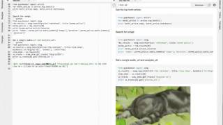 Markdown Preview Update