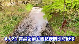 #青森弘前公園花筏