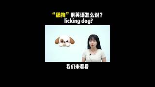 “舔狗”用英语怎么说？licking dog？