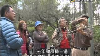 20150112 公視手語新聞 氣候異常 台東梅花晚開 青梅恐減產