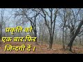 प्रकृति को एक बार फिर जिन्दगी दें । अपने मानव जीवन कर्त्तव्य को निभाए । how to improve nature well