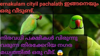 മനസിന്‌ കുളിർമയേകുന്ന ഈ കാഴ്ച്ചകൾ എന്തു മനോഹരമാണ്. subscribe plz