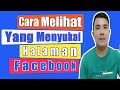 Tutorial Cara Melihat Orang Yang Menyukai Halaman Facebook Kita