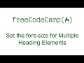 Applied Visual Design - Set the font size for Multiple Heading Elements - Free Code Camp
