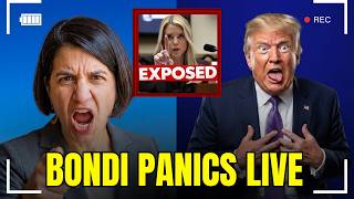 Bondi PANICS After Balint EXPOSES Her Epstein Cover-Up In Explosive Hearing