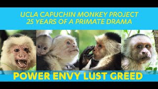 UCLA Capuchin Monkey Project: 25 Years of a Primate Drama