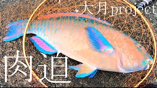 【高知県 大月町でBIG GOMOKU！】最強の相手に肉迫する【アーガイ合宿】