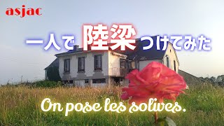 【フランス古民家再生】#78 DIYで陸梁つけてみた/食べる物が無い日/雑草だと思ったらレタスだった On pose les solives.#フランス #古民家再生 #国際結婚