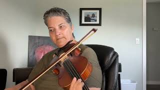 Day 186 - Hayride Reel - Patti Kusturok’s 366 Days of Fiddle Tunes