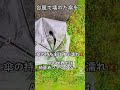 【short】☂台風に破壊された☔傘を☔ 人物化⁈👀☂【 aiアート aiイラスト化 】