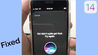 Siri didn't Quite Get that Try Again error on iPhone and iPad after iOS 14.3 [Fixed[