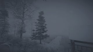 Epic Winter Storm at the lake┇Howling Wind & Blowing Snow┇Sounds for Sleep, Study & Relaxation