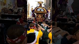 【大塚天祖神社】御鎮座700記念　宮神輿渡御「巣鴨庚申堂前出輿」