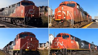 1000th VIDEO! Railfanning CN at Mount Pleasant (OCT 17, 2024)