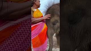 தமிழச்சிக்கு Oscar விருது! யார் இந்த Kartiki Gonsalves? The Elephant Whisperers | DW Tamil