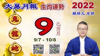 【大易月報 】生肖運勢 9/7 ~ 10/8｜【兔、龍、蛇】陽曆  9/7 ~ 10/8  壬寅年己酉月｜＃生肖運勢2022｜＃每月运势2022｜＃大易月報｜＃大易命理頻道｜＃賴靖元老師