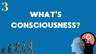 What's Consciousness? Is it a sponge or water? (#3)
