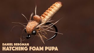 Hatching foam pupa - Daniel Bergman