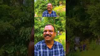 കാട്ടു കൊമ്പൻ ചാടി ചരിഞ്ഞ സ്ഥലത്തെ കാഴ്ച്ച ഇത്രക്ക് ഉണ്ടാകുമെന്നു  വിചാരിച്ചില്ല | #shorts