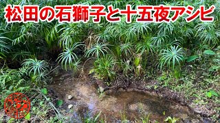 【松田農村公園】松田の石獅子と十五夜アシビのウガシリを探せ！