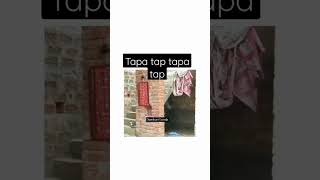 tapa tap tapa tap mems Desi girl videos #viralvideo viral video #