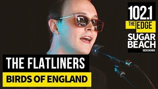 The Flatliners - Birds of England (Live at the Edge)