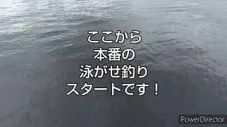 第265話 イカがいるかも＠晴海臨海公園 2022年5月26日