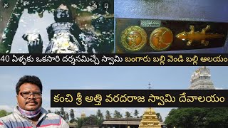 Kanchi Varadharaja Swamy Temple full tour in Telugu | Golden lizard temple | Tamilnadu