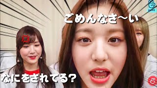 ウォニョン乱入でひぃちゃんがキレる?!WIZ*ONEが選ぶわちゃわちゃ集Part3【IZ*ONE/日本語字幕】