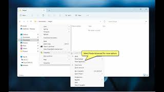 Windows: Instantly copy just the folder structure without any files in them using Copywhiz