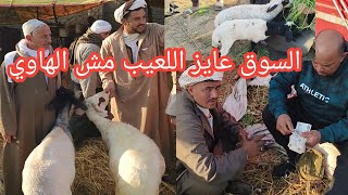 السوق ده عايز اللعيب مش الهاوي تخيلوا اسعار الغنم والماعز العشر والوالد والانيه وصلت كام بالارضيه ✌️