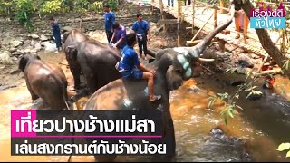 ปางช้างแม่สาชวนเล่นสงกรานต์กับช้าง  | เรื่องดีดีทั่วไทย | 10-4-66