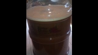 Homebrewing Experiments