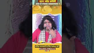 चाय और कॉफी पीने वाले जरूर देखे यह वीडियो #kaushik_ji_maharaj #viral #astrology #shorts