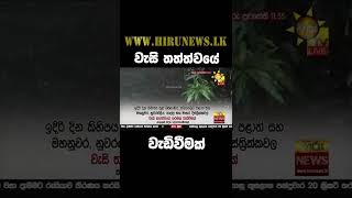 වැසි තත්ත්වයේ වැඩිවීමක් - Hiru News