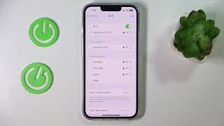 How to Find IP Address on the iPhone 14 Series Device - Plus / Pro / Pro Max