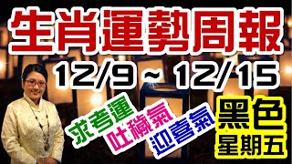 2019生肖運勢週報｜12/09-12/15｜金玲老師（有字幕）
