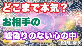 恋愛❤️タロット占い🔮『どこまで本気？お相手の嘘偽りのない心の中』🐯タロット、オラクルリーディング🐯【男女共用占い🔮】