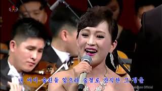 Band of State Affairs Commission - Following Your Affection (그 정을 따르네)