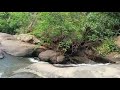 chittampadu water fall near by muliyaguda borra junction 1km away 23.04.2023