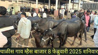 चाळीस गाव म्हैस बाजार 8 फेब्रुवारी 2025 शनिवार live 🔴