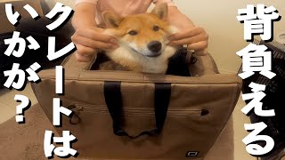 背負える犬用キャリーバッグ「BRIXTON CARRY BACKPACK \