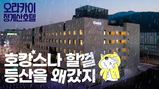 청계산 80년만의 폭우 온 날 - 오라카이 청계산 호텔 1부