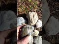 idocras vesuvianite found on whidbey island beaches from glacial till