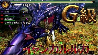 【MH4G】G級 イャンガルルガ ガンランス【集会所G級】