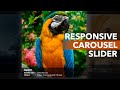 HOW TO MAKE RESPONSIVE CAROUSEL SLIDER (jQuery and Owl Carousel)